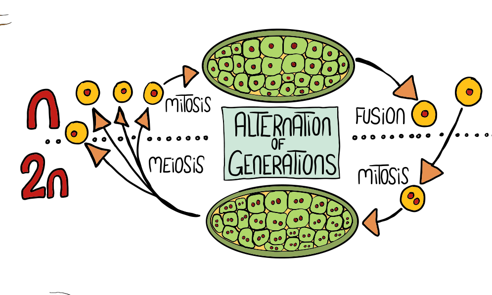 Simply Easy Learning