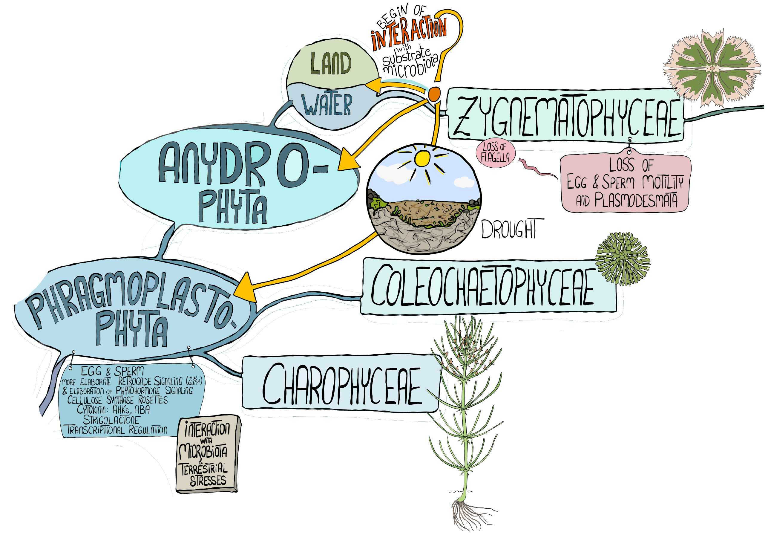 Simply Easy Learning