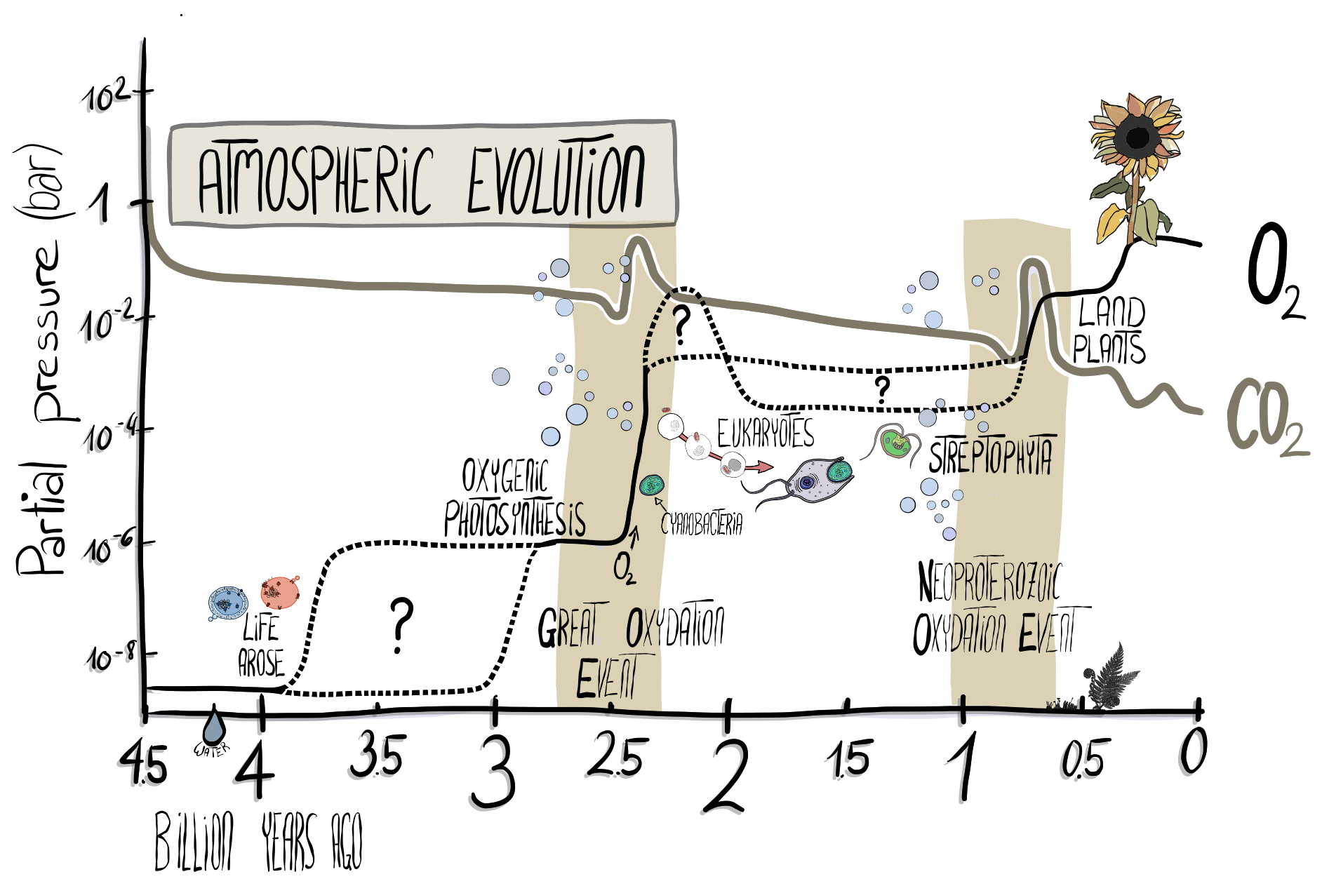 Simply Easy Learning