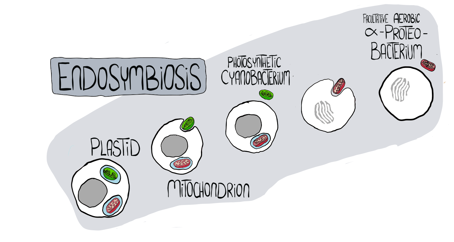 Simply Easy Learning