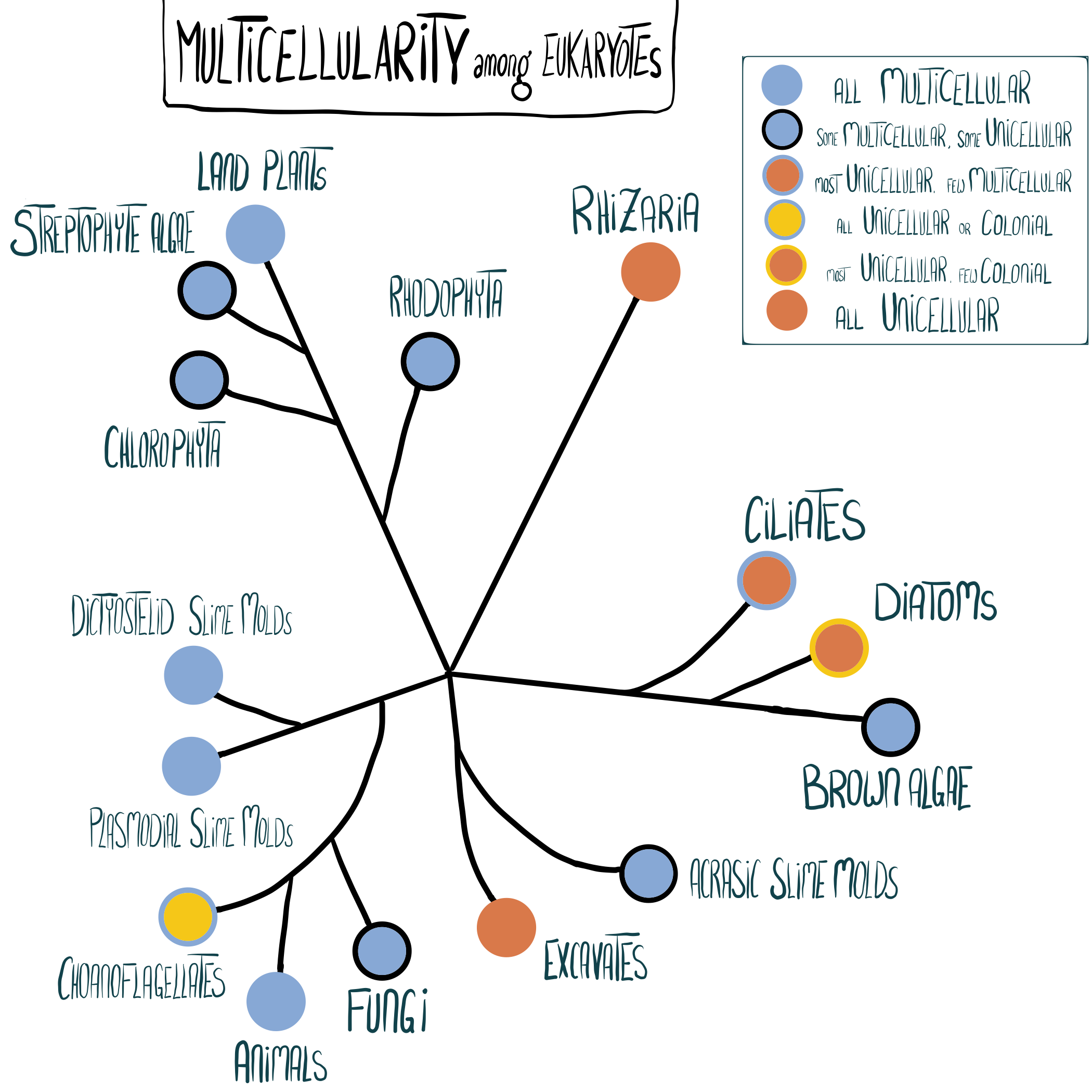 Simply Easy Learning