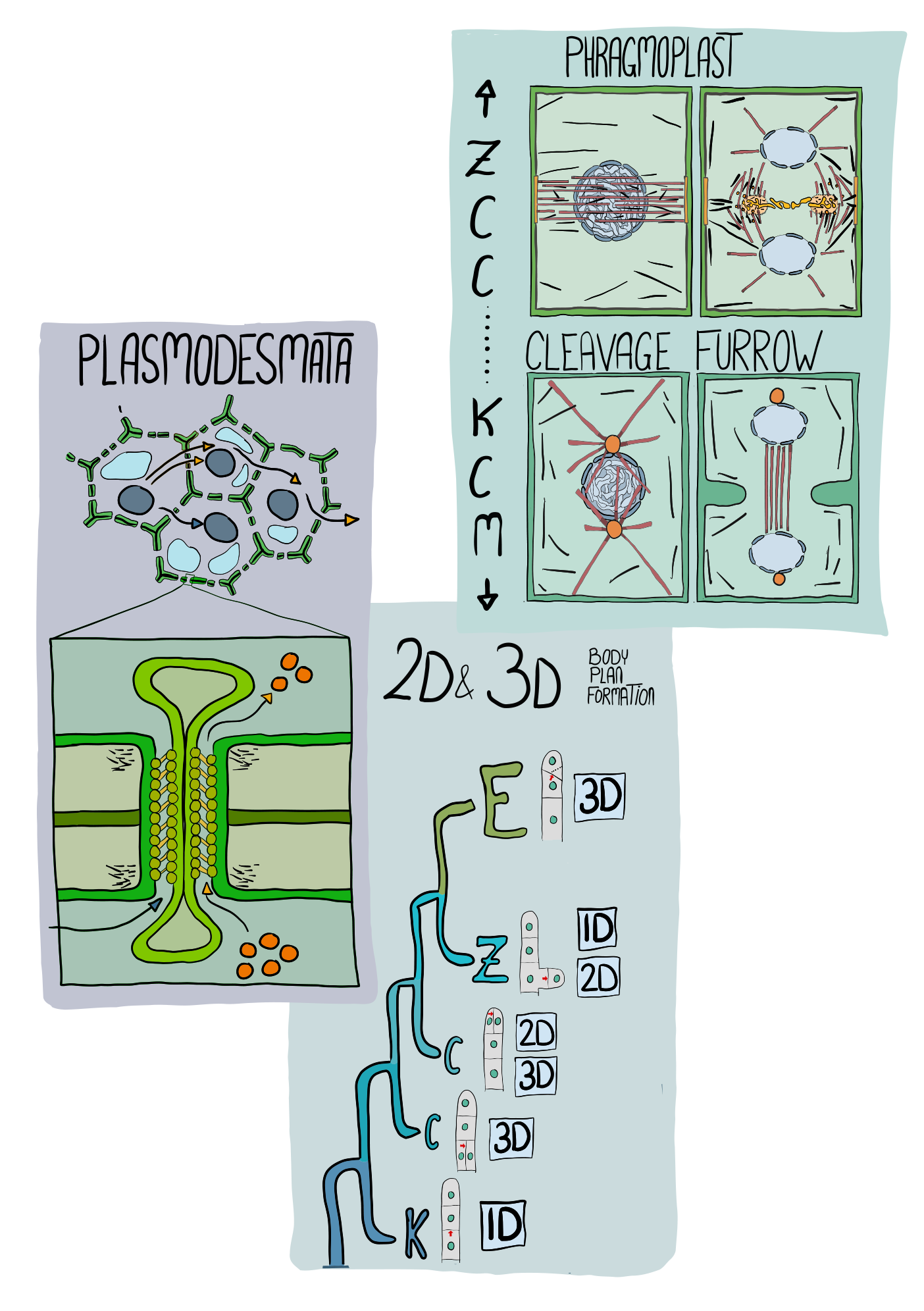 Simply Easy Learning