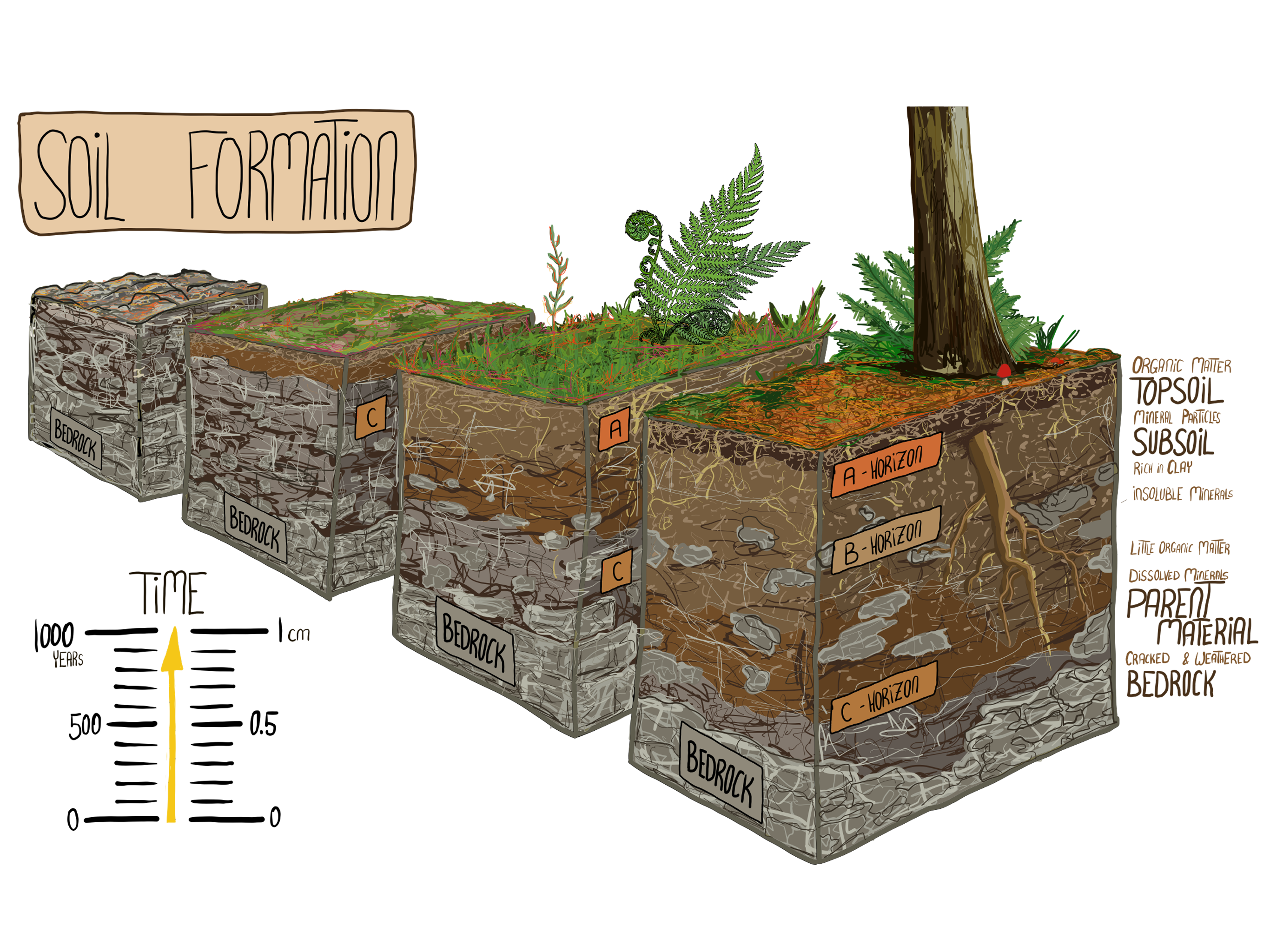 Simply Easy Learning