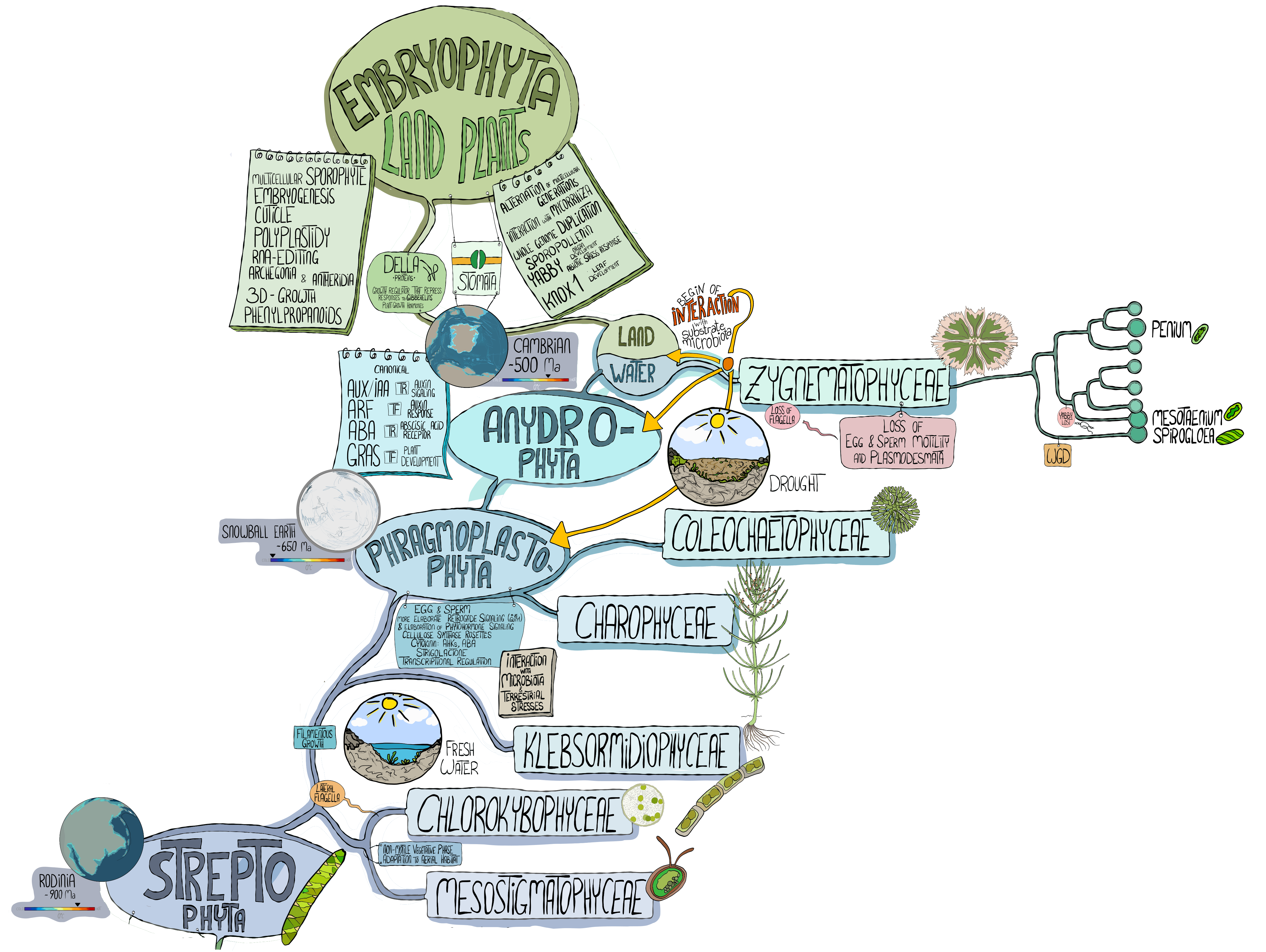 Simply Easy Learning